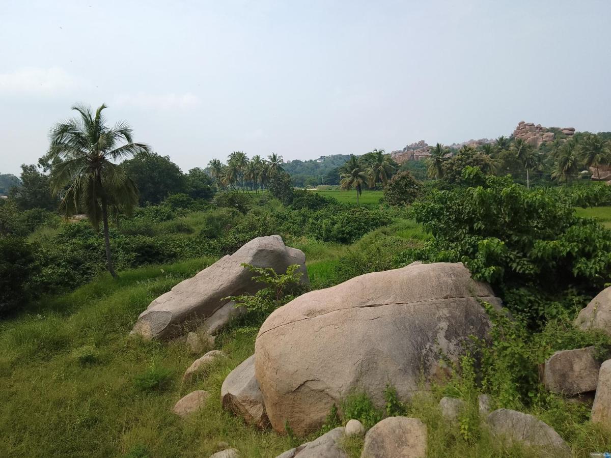 Monkey Paradise Hampi Exteriör bild