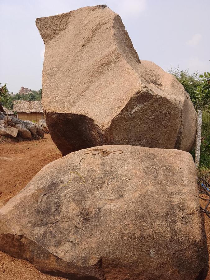 Monkey Paradise Hampi Exteriör bild